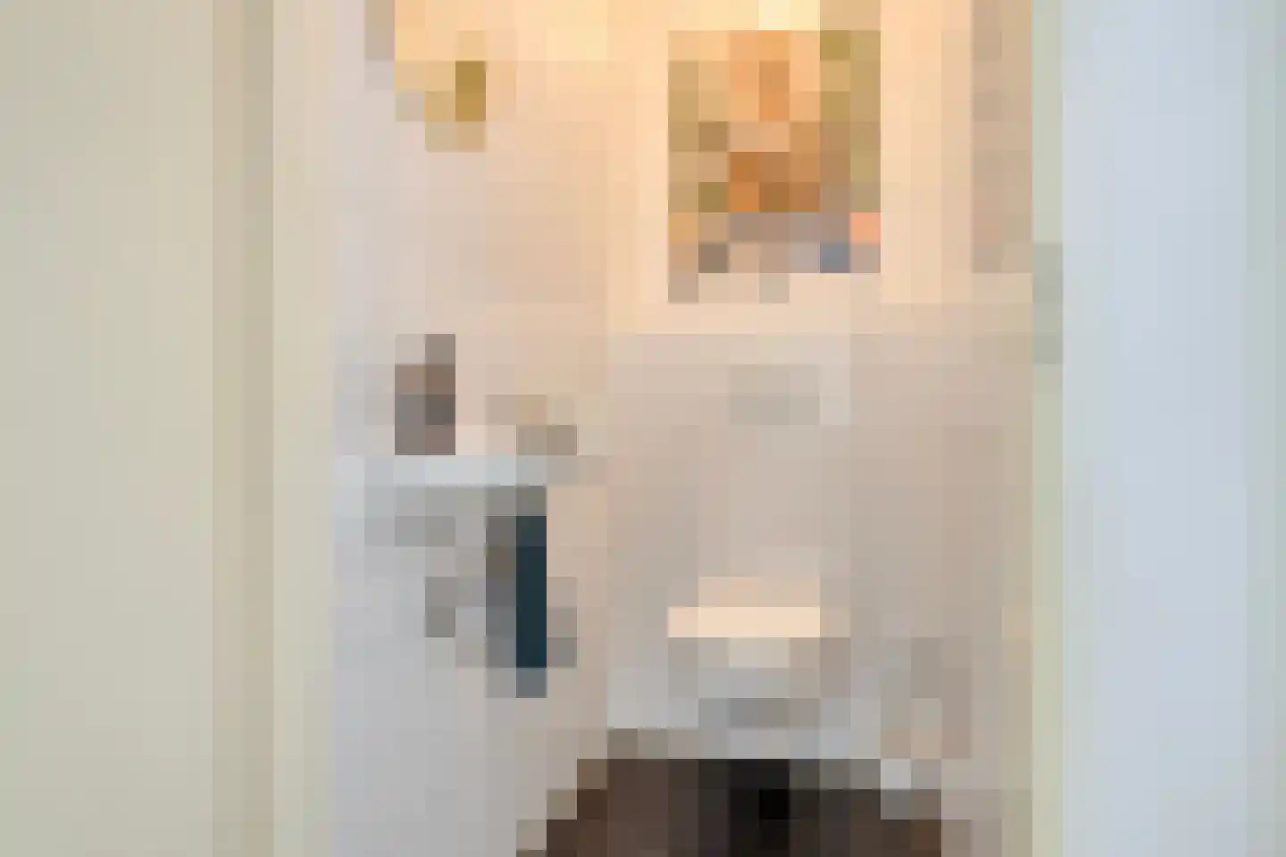Bomanshof 203 Eindhoven thumbnail 27