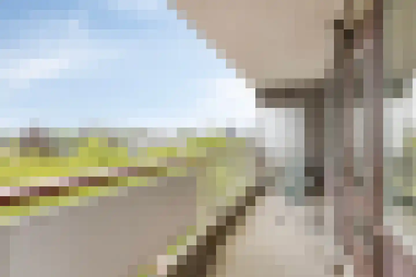 Bomanshof 203 Eindhoven thumbnail 29
