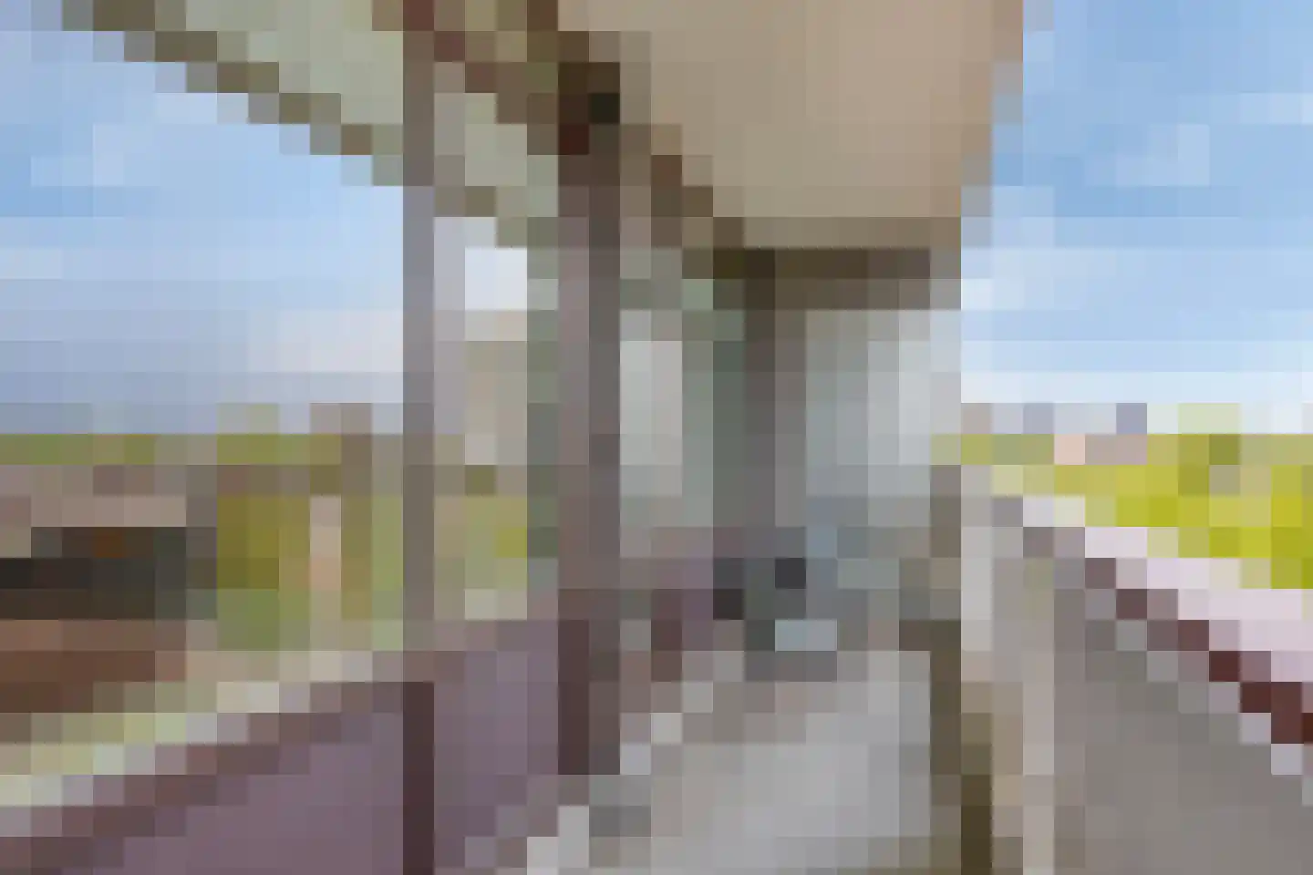 Bomanshof 203 Eindhoven thumbnail 30