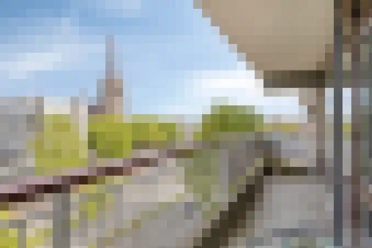 Bomanshof 203 Eindhoven thumbnail 31