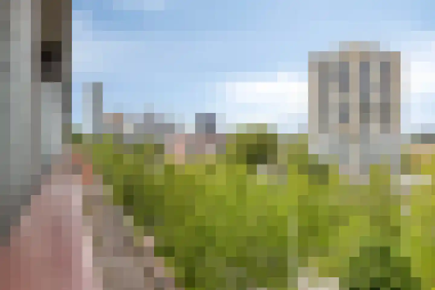Bomanshof 203 Eindhoven thumbnail 32