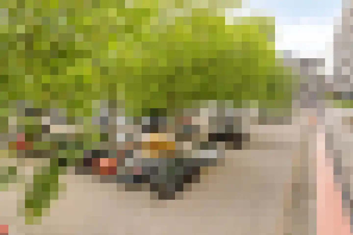 Bomanshof 203 Eindhoven thumbnail 34