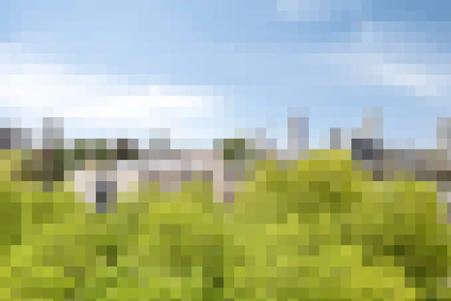 Bomanshof 203 Eindhoven thumbnail 35