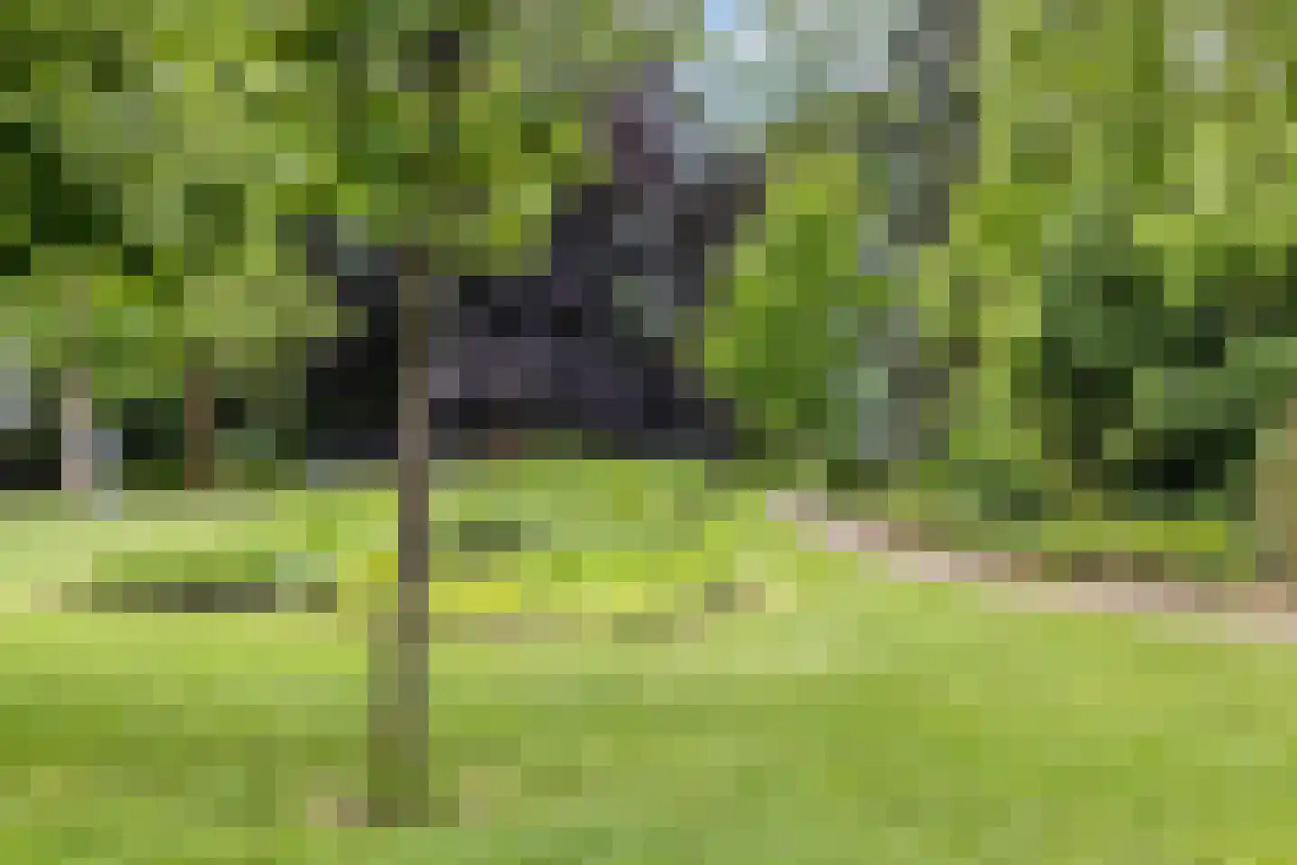 Bomanshof 203 Eindhoven thumbnail 37