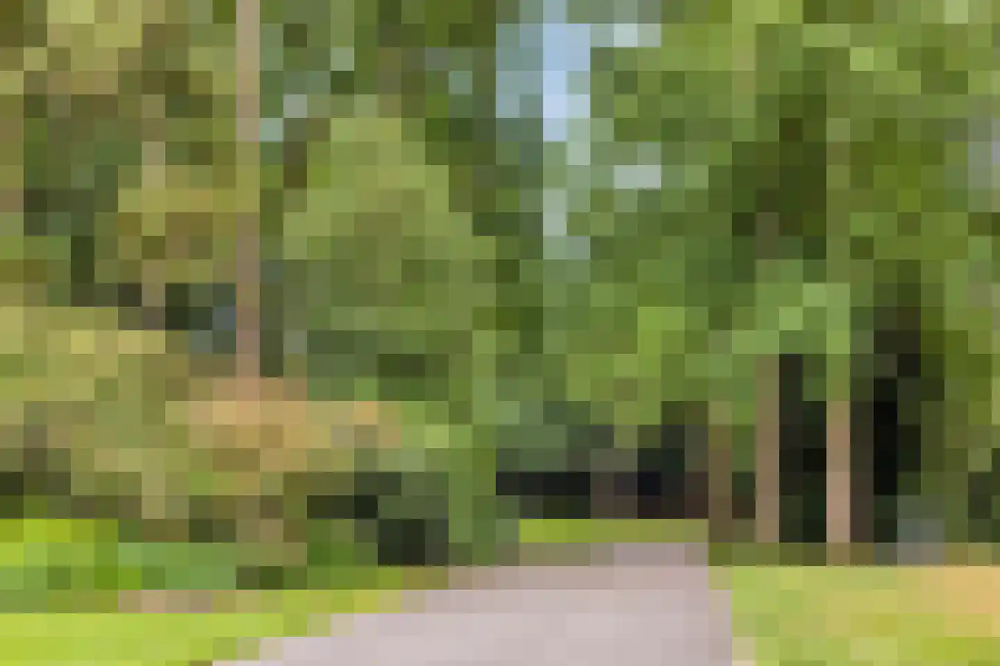 Bomanshof 203 Eindhoven thumbnail 38