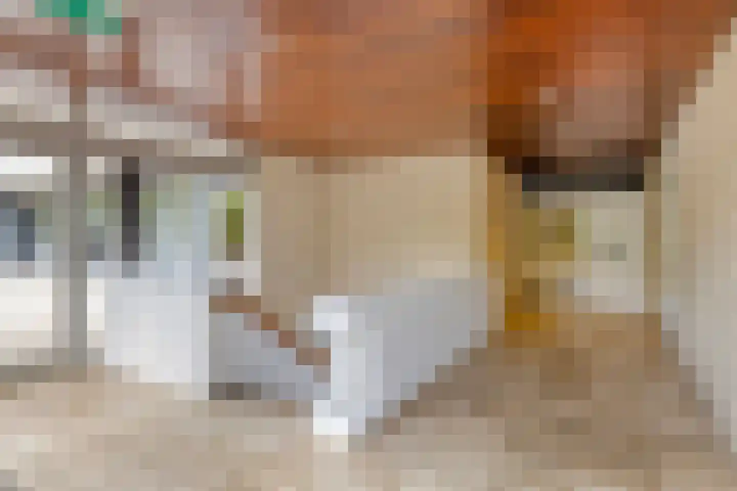 Bomanshof 203 Eindhoven thumbnail 7