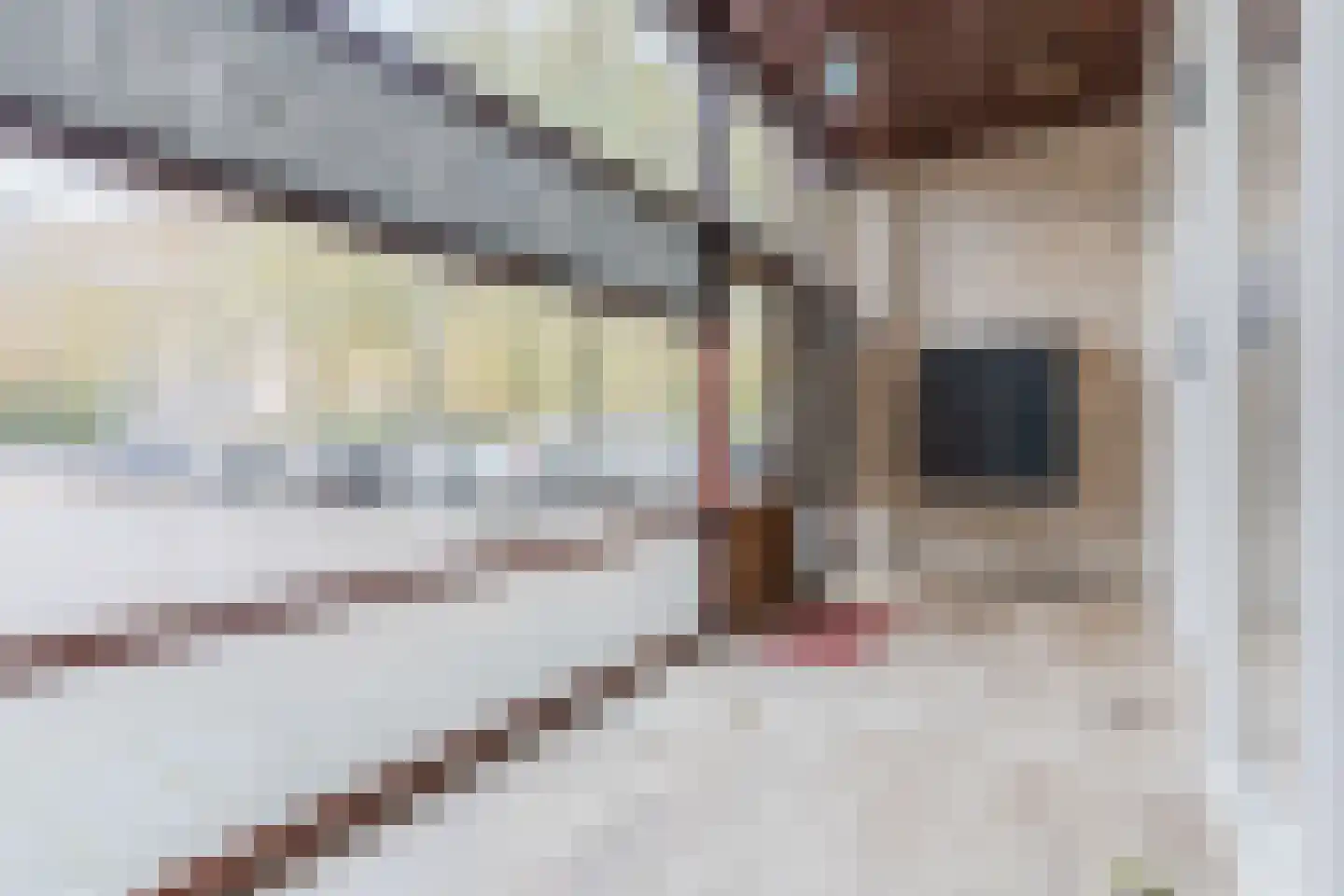Bomanshof 207 Eindhoven thumbnail 21