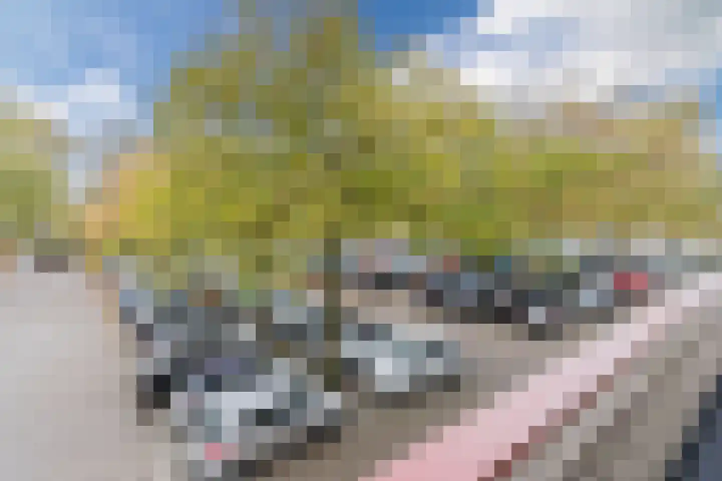Bomanshof 207 Eindhoven thumbnail 22