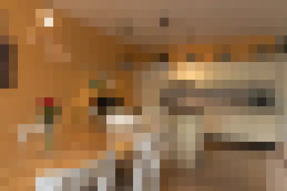 Bomanshof 217 Eindhoven thumbnail 11