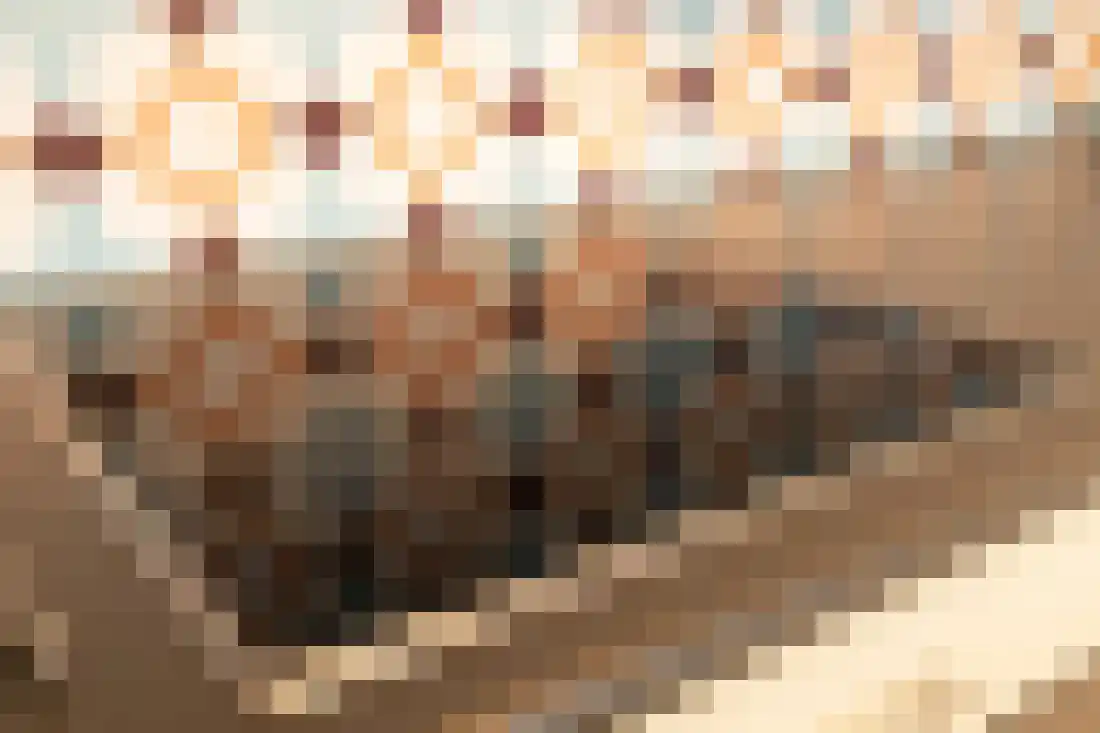 Bomanshof 217 Eindhoven thumbnail 13