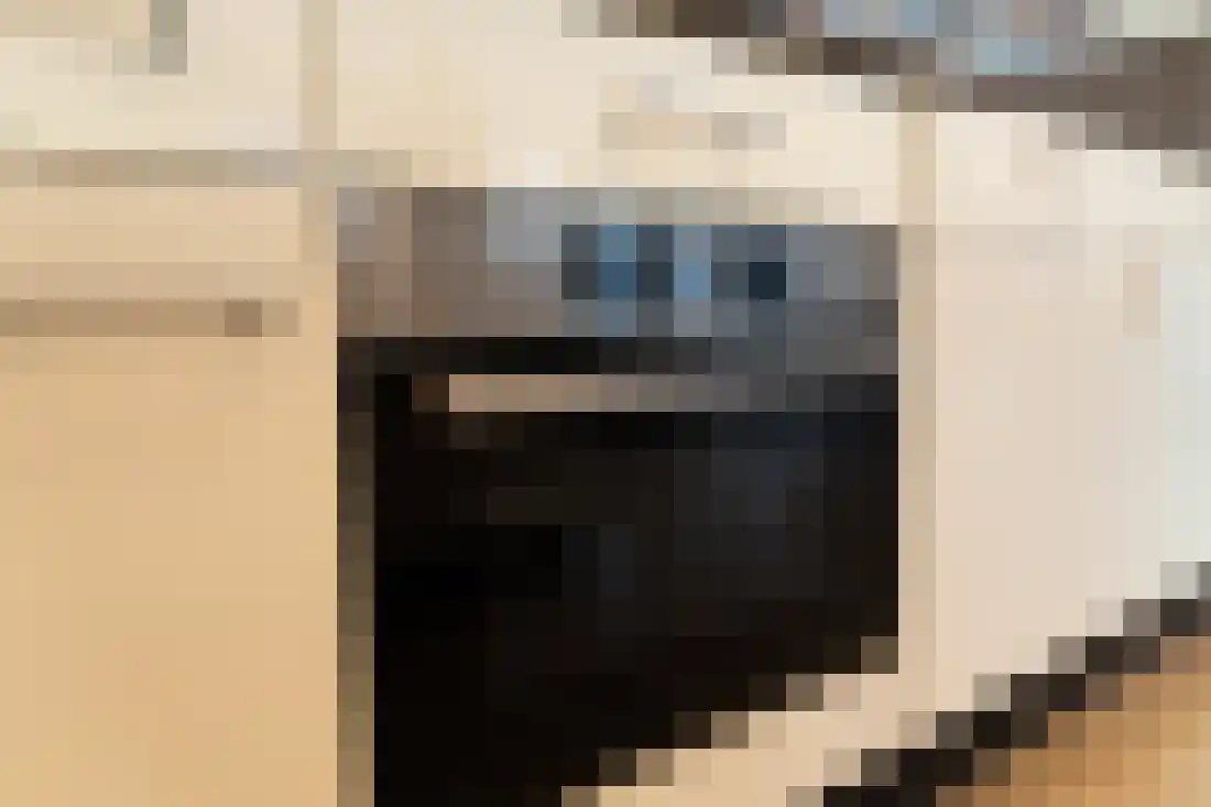 Bomanshof 217 Eindhoven thumbnail 14