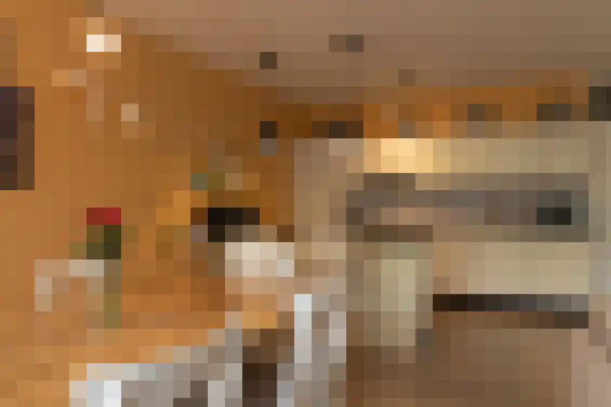 Bomanshof 217 Eindhoven thumbnail 4