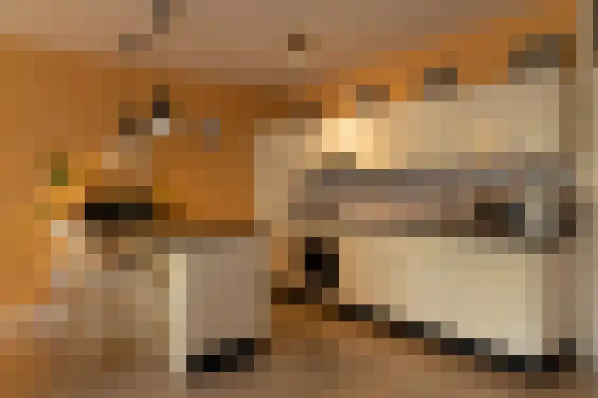 Bomanshof 217 Eindhoven thumbnail 5