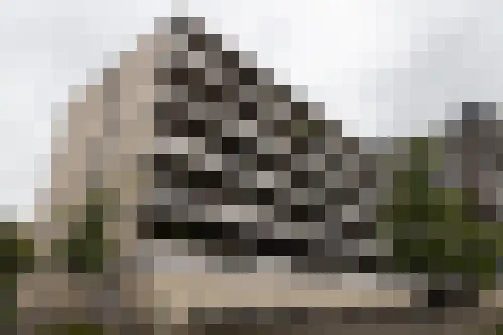 Bomanshof 217 Eindhoven thumbnail 8