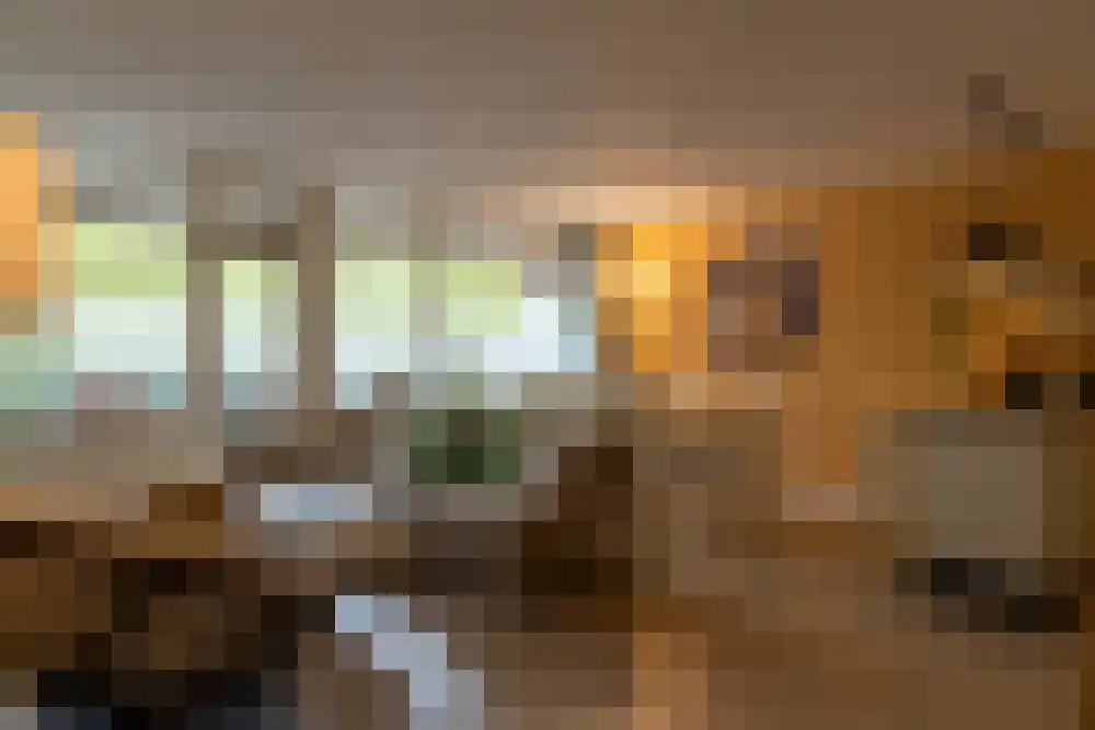 Bomanshof 217 Eindhoven thumbnail 9