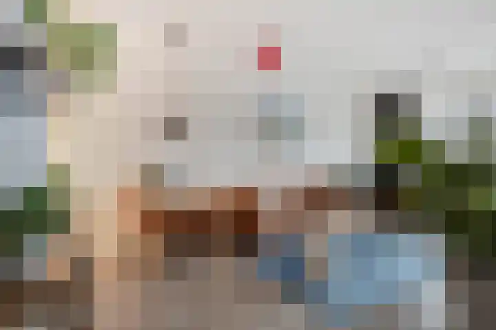 Bomanshof 231 Eindhoven thumbnail 15