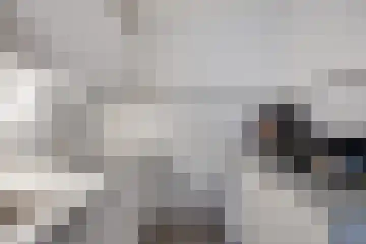 Bomanshof 231 Eindhoven thumbnail 19