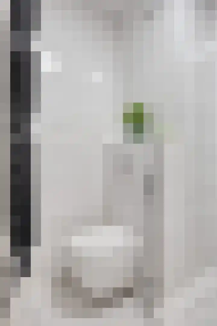 Bomanshof 231 Eindhoven thumbnail 22