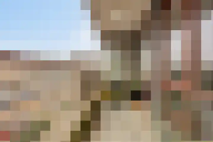 Bomanshof 231 Eindhoven thumbnail 25