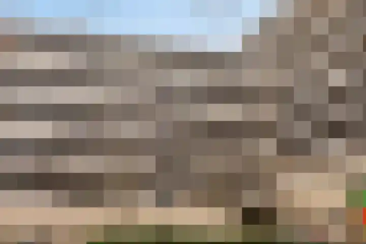 Bomanshof 231 Eindhoven thumbnail 30