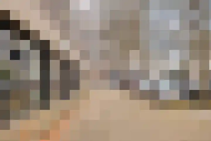 Bomanshof 231 Eindhoven thumbnail 31