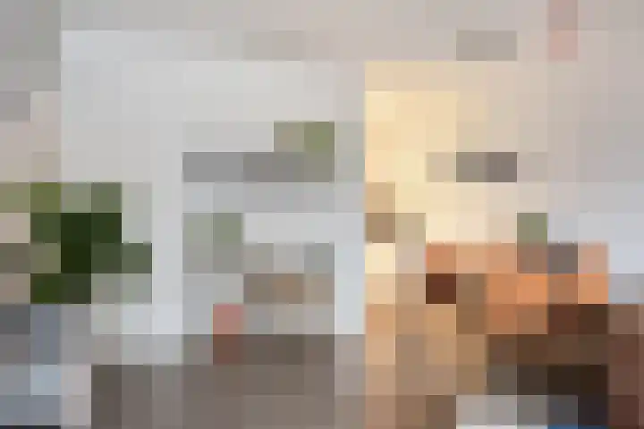 Bomanshof 231 Eindhoven thumbnail 4