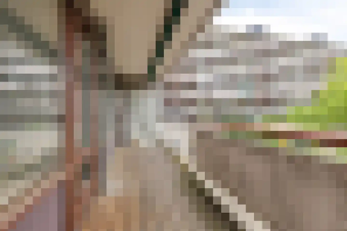 Bomanshof 253 Eindhoven thumbnail 12