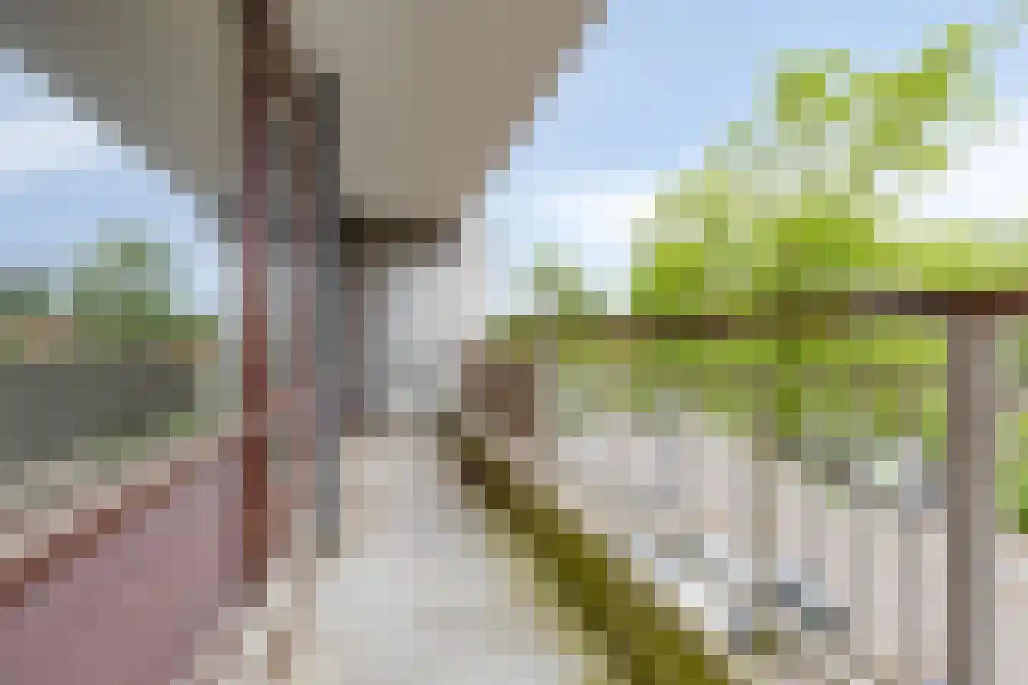 Bomanshof 253 Eindhoven thumbnail 18