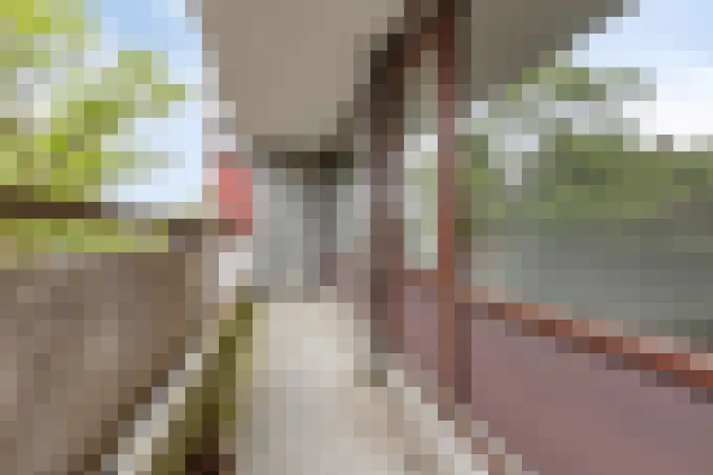 Bomanshof 253 Eindhoven thumbnail 19