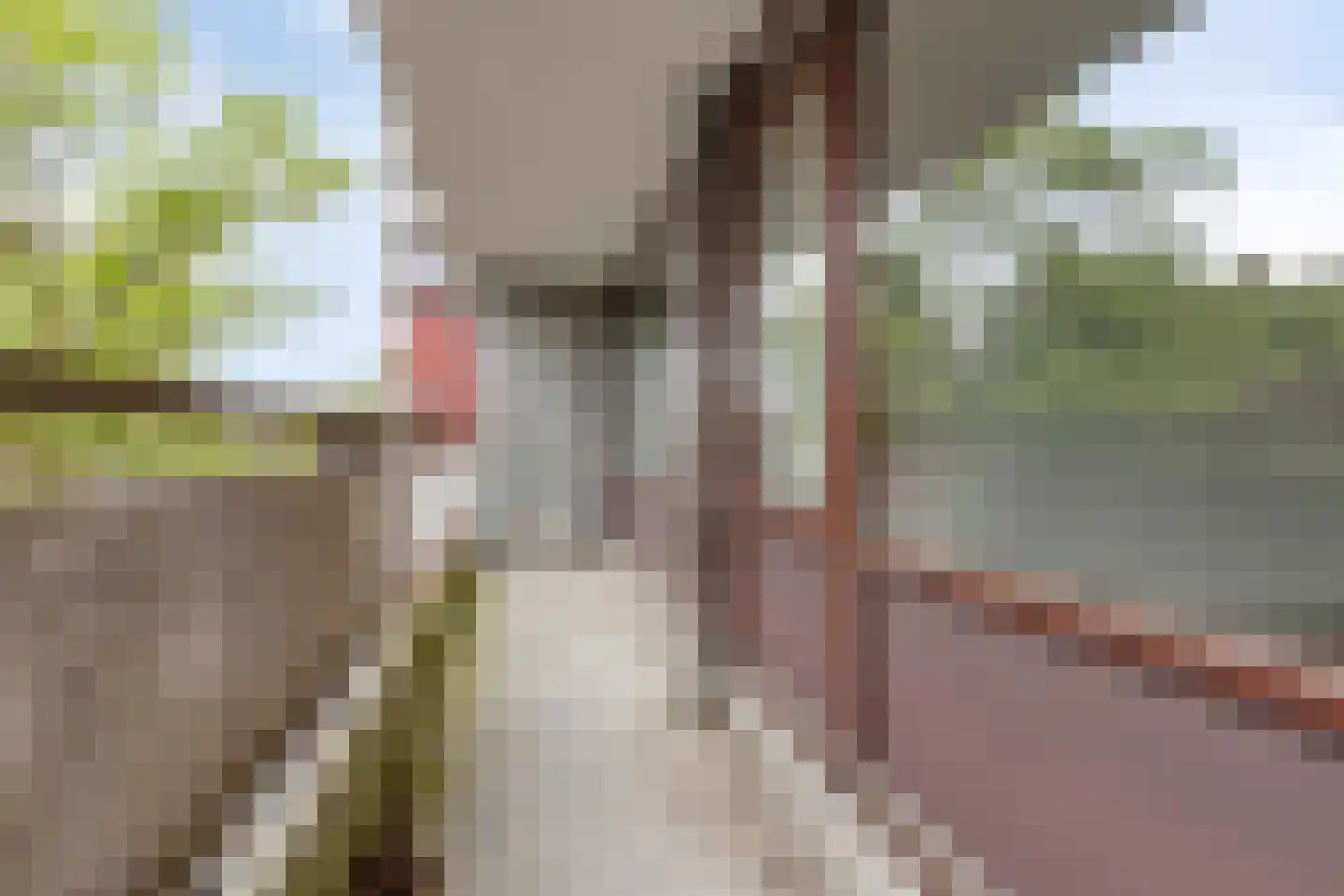 Bomanshof 253 Eindhoven thumbnail 19