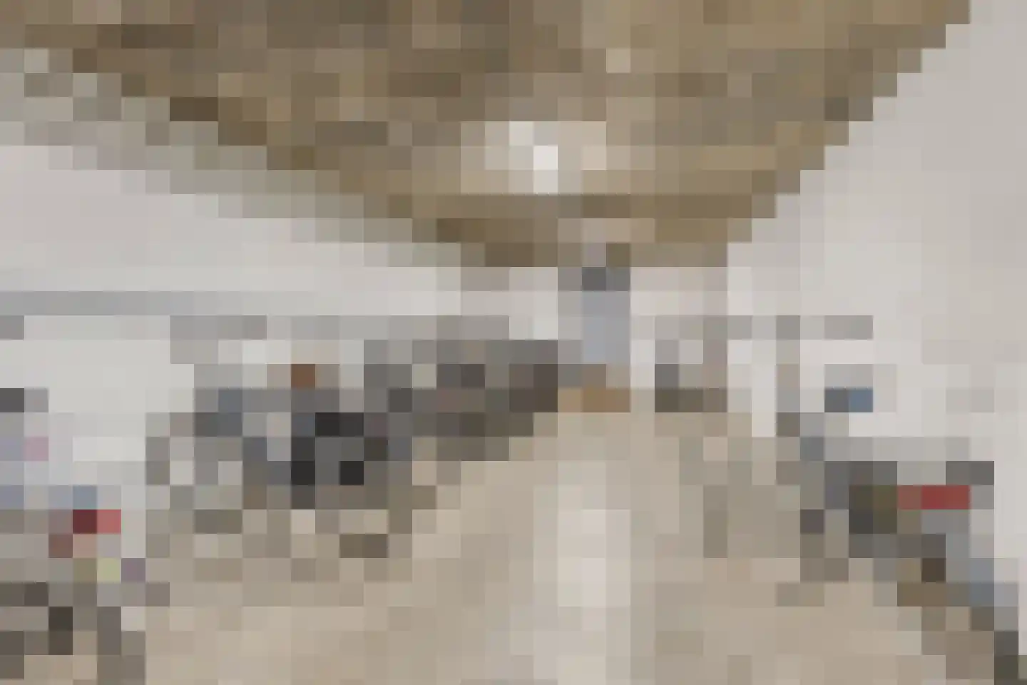 Bomanshof 253 Eindhoven thumbnail 24
