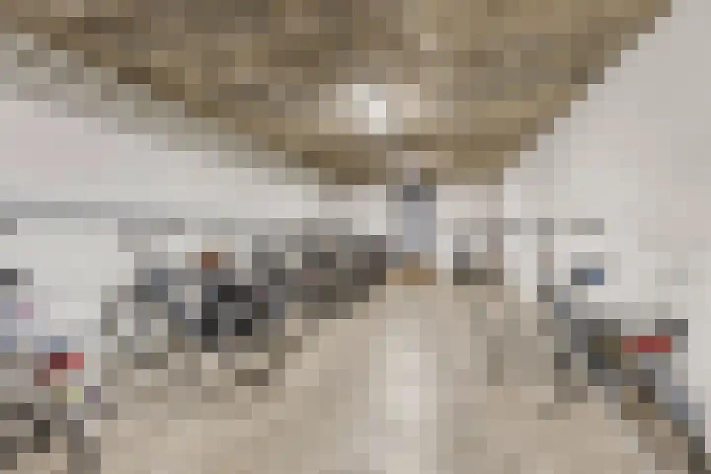 Bomanshof 253 Eindhoven thumbnail 24