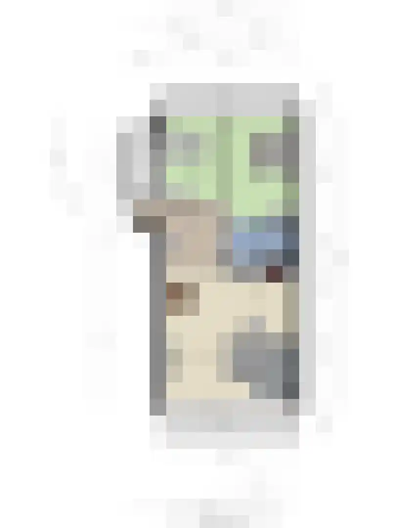 Bomanshof 253 Eindhoven thumbnail 26