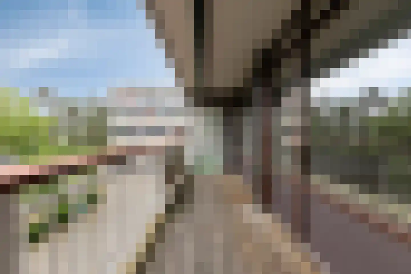 Bomanshof 253 Eindhoven thumbnail 5