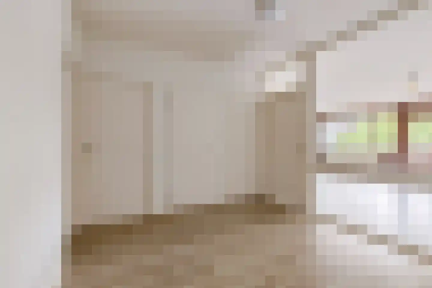 Bomanshof 253 Eindhoven thumbnail 7