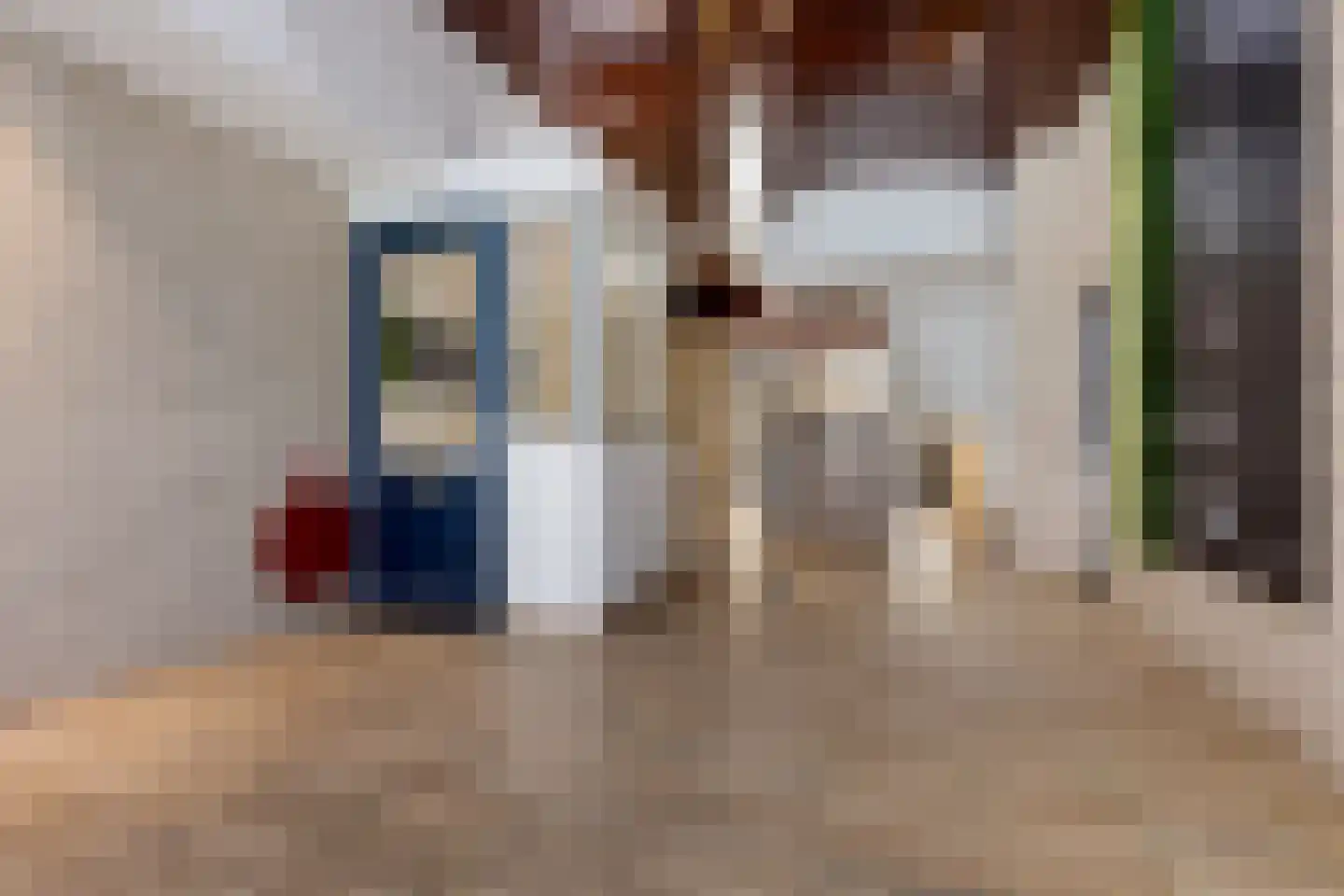 Bomanshof 33 Eindhoven thumbnail 18