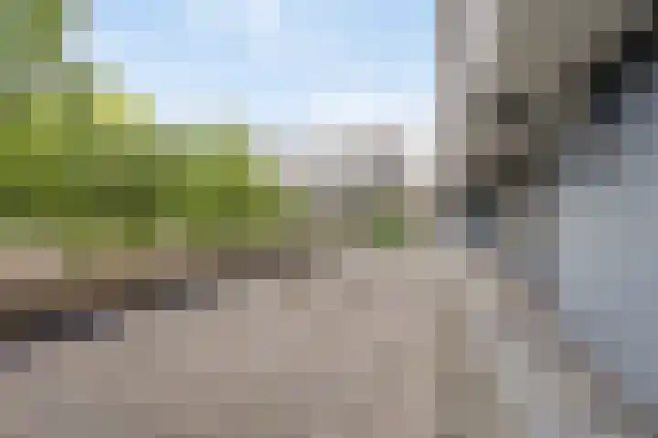 Bomanshof 33 Eindhoven thumbnail 21