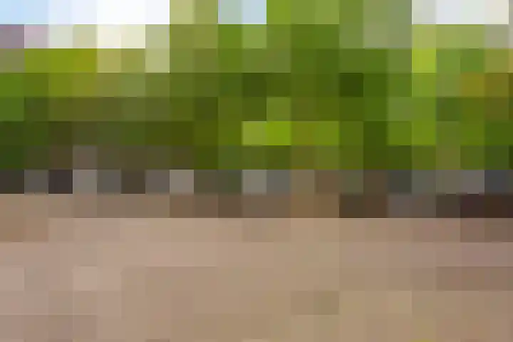 Bomanshof 33 Eindhoven thumbnail 26