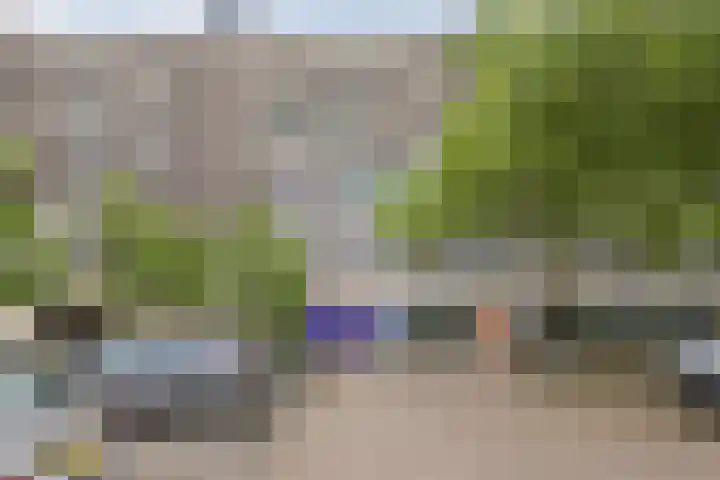Bomanshof 33 Eindhoven thumbnail 4