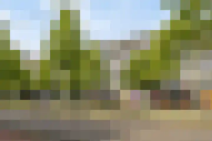 Bomanshof 33 Eindhoven thumbnail 5
