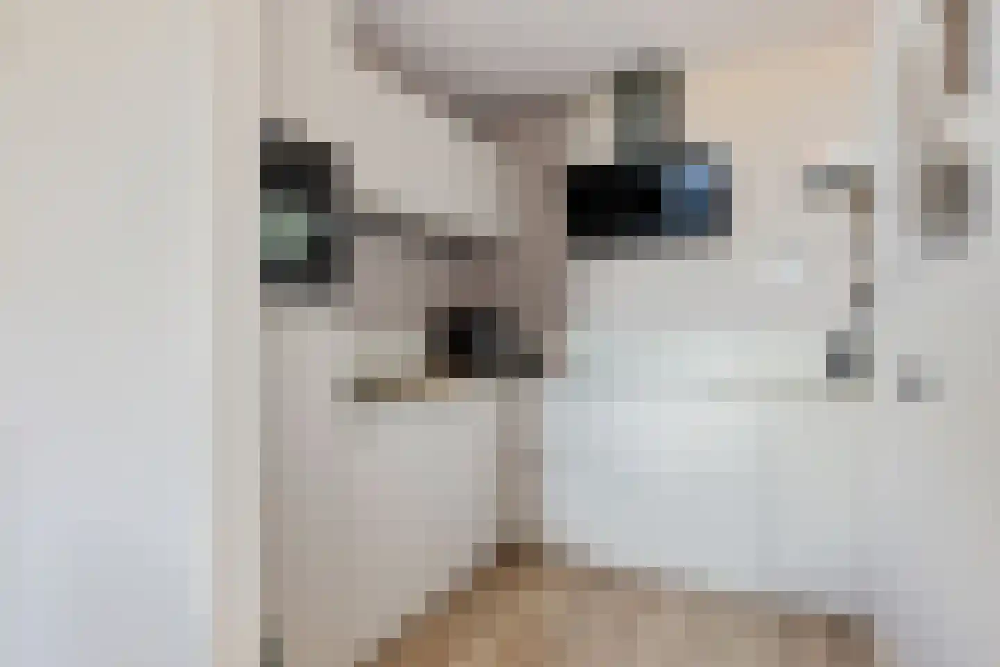 Bomanshof 33 Eindhoven thumbnail 5