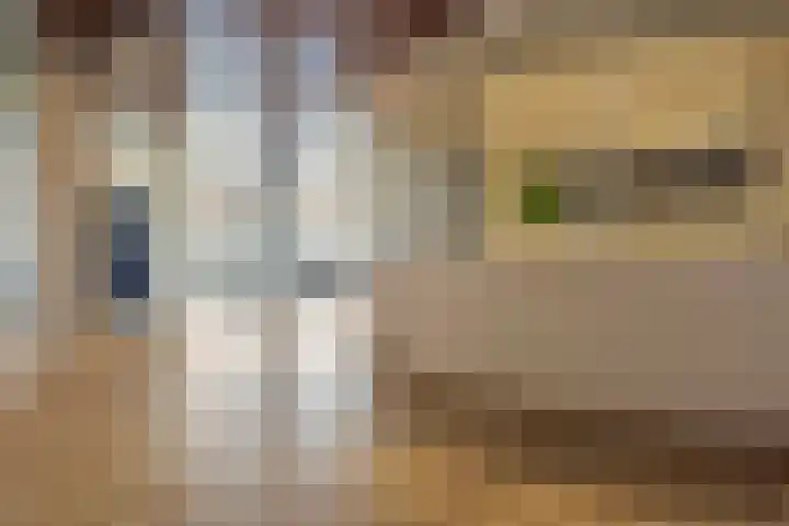 Bomanshof 33 Eindhoven thumbnail 7