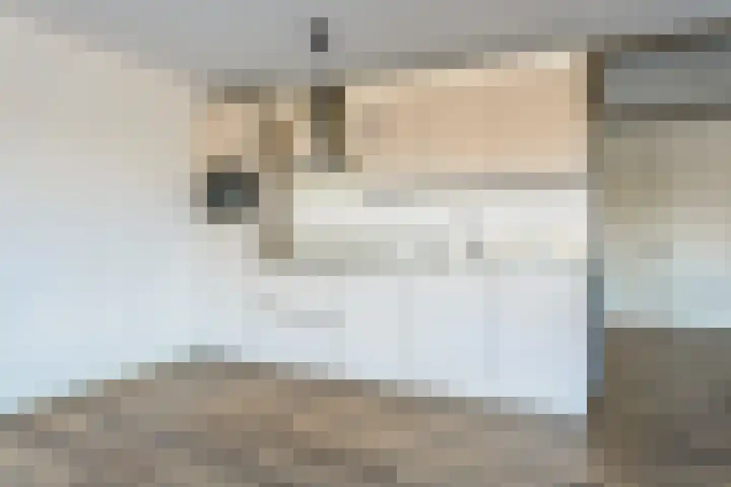 Bomanshof 41 Eindhoven thumbnail 11