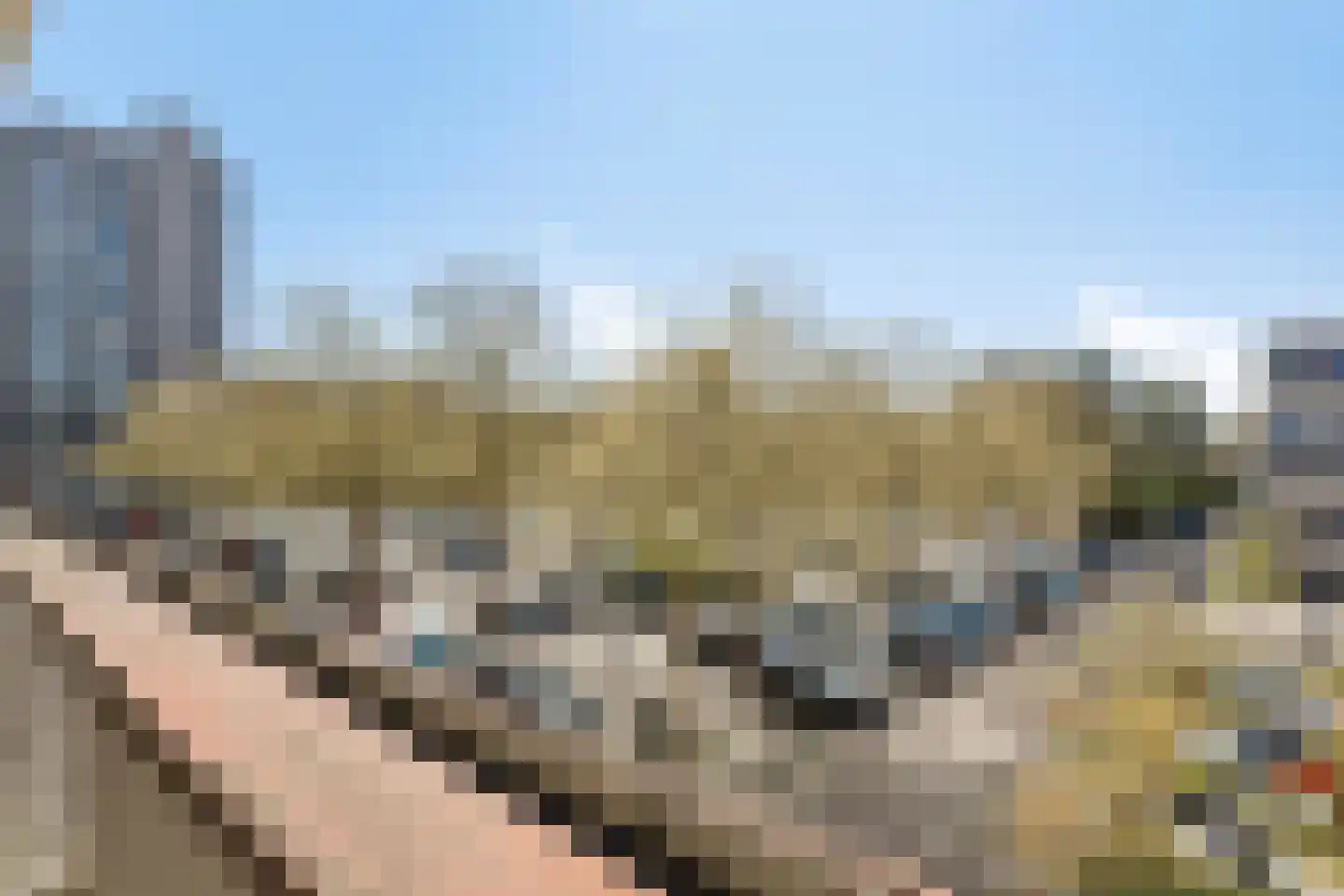 Bomanshof 41 Eindhoven thumbnail 16
