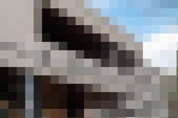Bomanshof 65 Eindhoven thumbnail 6