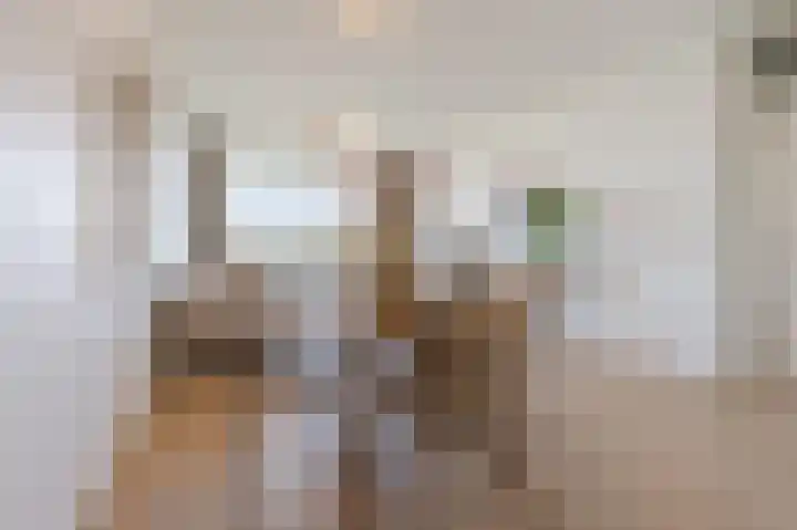 Bomanshof 93 Eindhoven thumbnail 14