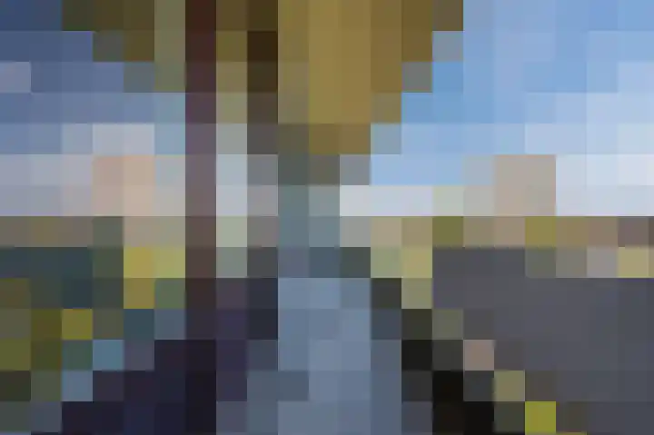 Bomanshof 93 Eindhoven thumbnail 29