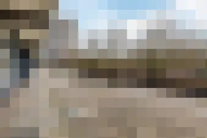 Bomanshof 93 Eindhoven thumbnail 35
