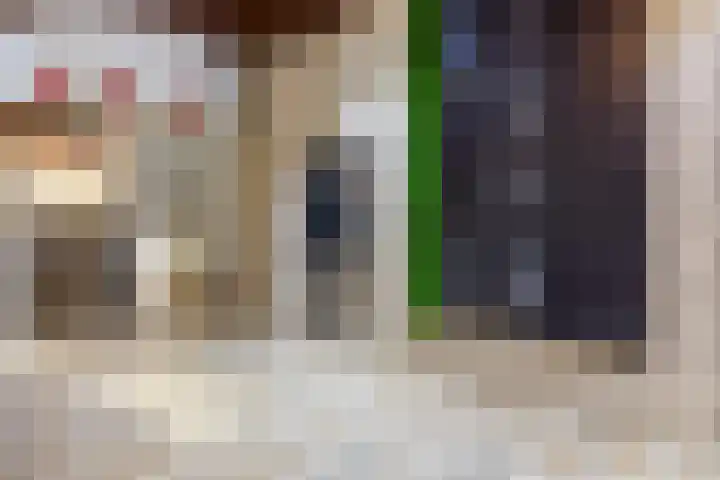 Bomanshof 93 Eindhoven thumbnail 37