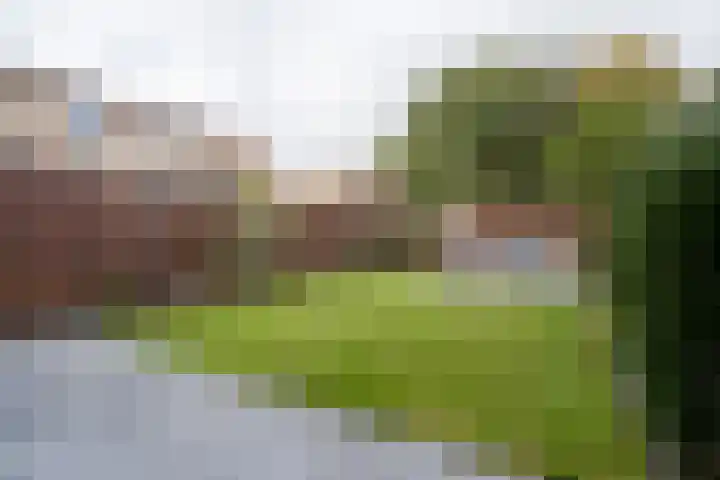 Bomansstraat 10 Weert thumbnail 35